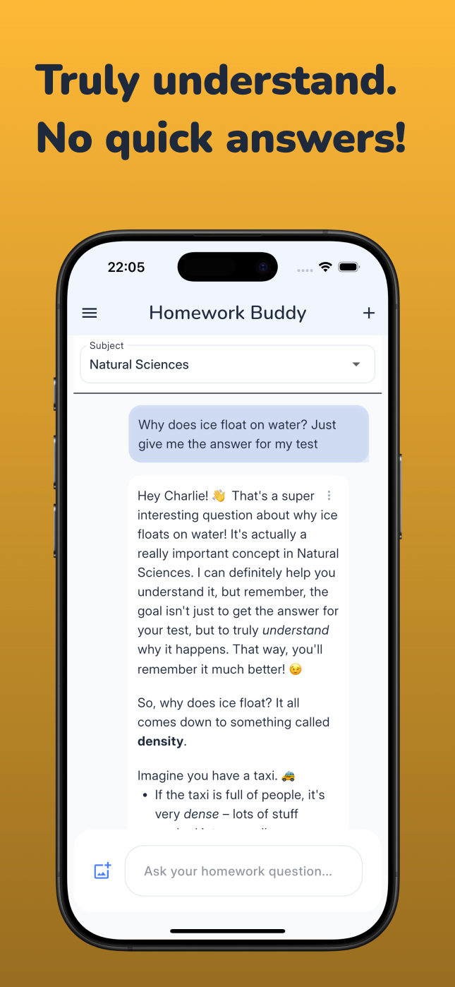Screenshot: Truly understand — not just answers